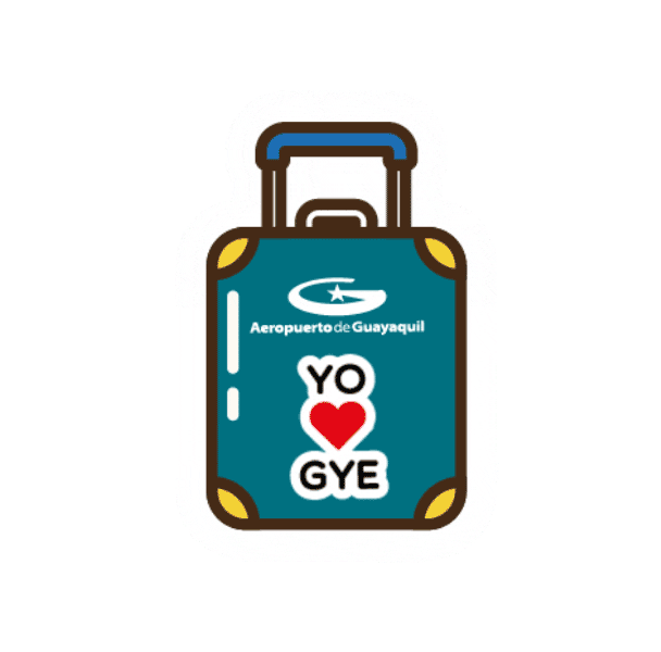 TAGSA giphyupload vacaciones viajar avion Sticker