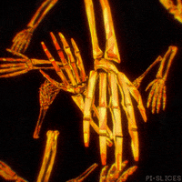 halloween falling GIF by Pi-Slices