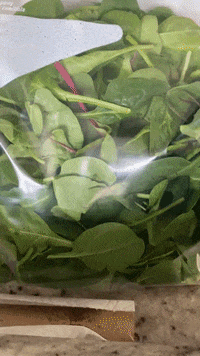 GIF by Good Morning America