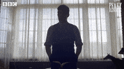 Comedy Reaction GIF by BBC
