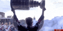 Stanley Cup Sport GIF by NHL