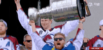Stanley Cup Sport GIF by NHL