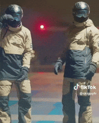 skiguyfr look ski twins twin GIF