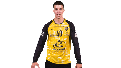 Celebration Handball Sticker by Team Chambé