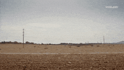 drive road GIF by F*CK, THAT'S DELICIOUS