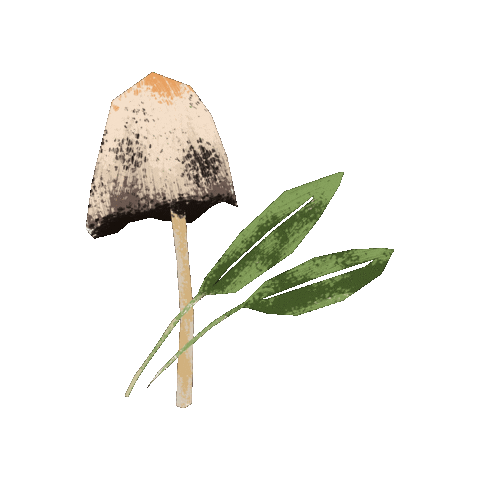 Mushroom Sage Sticker by Evoolution