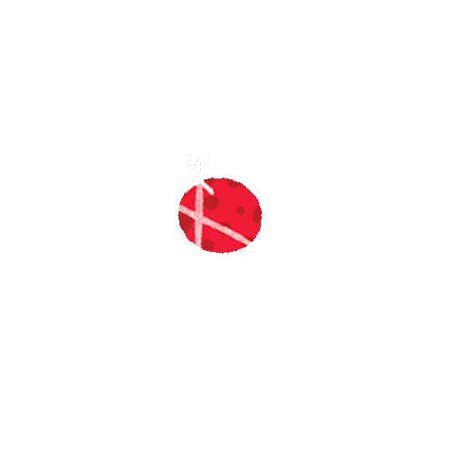 Pleincentre Sticker