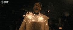 Season 2 S2 E4 GIF by SHOWTIME