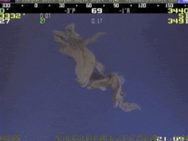 monsters GIF by Digg