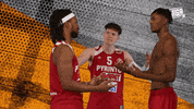 Sport Basketball GIF by Basket_fi