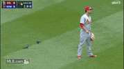 st. louis cardinals GIF by MLB