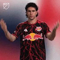 Vamos Lets Go GIF by Major League Soccer
