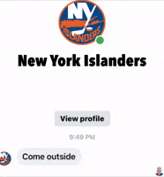 Come New York Islanders GIF