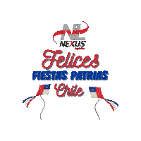 Fiestas Patrias Nexus Sticker by nexuslogistics