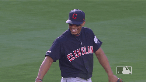 Regular Season Sport GIF by MLB