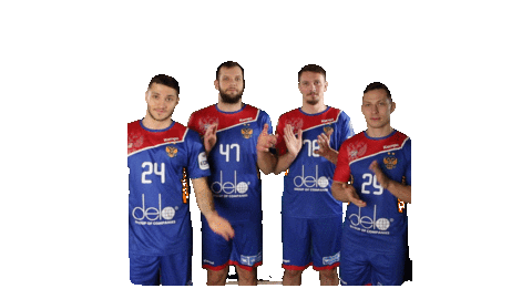 National Team Sport Sticker by Rushandball