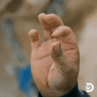 Gold Rush GIF by Discovery