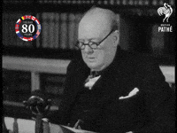 GIF by Lemondropsocial