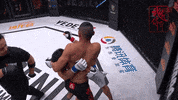 GIF by Legend FC