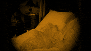 Morning Omg GIF by Det Danske Filminstitut