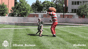 Ohio State Sport GIF by Ohio State Athletics