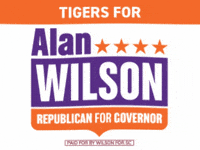 South Carolina Football GIF by Team Wilson