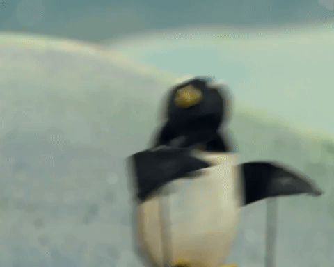 Penguin exercises