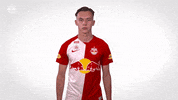 Number Jersey GIF by FC Red Bull Salzburg
