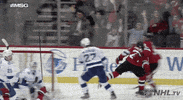 Celebrate Ice Hockey GIF by NHL