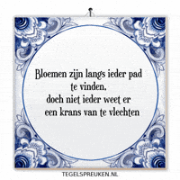 Moment Nl GIF by Tegelspreuken.nl