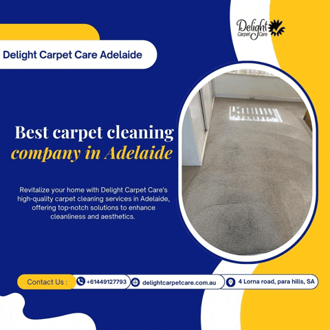 delightcarpetcare giphyupload GIF