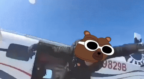 Bitcoin Invest GIF by Bear Market Memes
