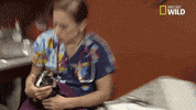nat geo wild pets GIF by Dr. K's Exotic Animal ER