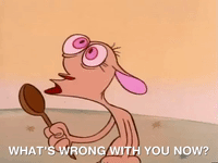 ren and stimpy nicksplat GIF