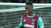 Happy Premier League GIF by West Ham United