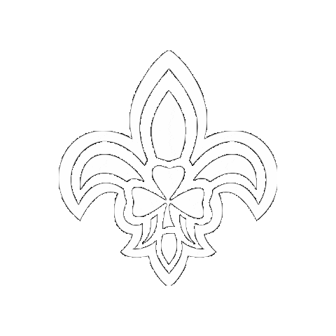 scoutingireland giphygifmaker scouting ireland irish scouts scoutingireland Sticker