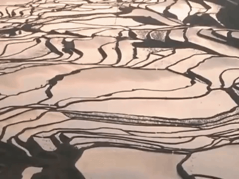 minorities shao shu min zu GIF