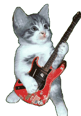 Cat Rocking Sticker