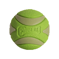 ChuckitFetchGames chuckit maxglowultrasqueakerball ultrasqueakerball Sticker
