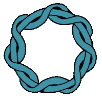 University Of Washington Slu Sticker by Seattle City Flag