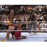 Crypto Wwe GIF by ElmonX