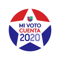 Votaconmigo GIF by Univision Noticias