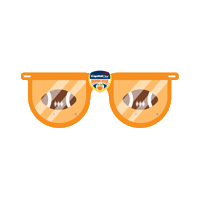 orange bowl football Sticker by Capital One