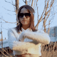 Ferideozdinc GIF