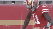 Regular Season Football GIF by NFL