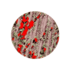 Alvaz Sticker by AlvazAgritch