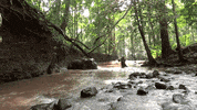 GIF by The University of Bath