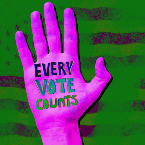 Vote Voting GIF by Todd Rocheford