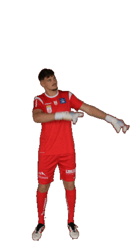 Blau Weiss Lask Sticker by FC Blau Weiß Linz