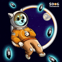Dogofbitcoin dog runestone dog bitcoin dog go to the moon GIF